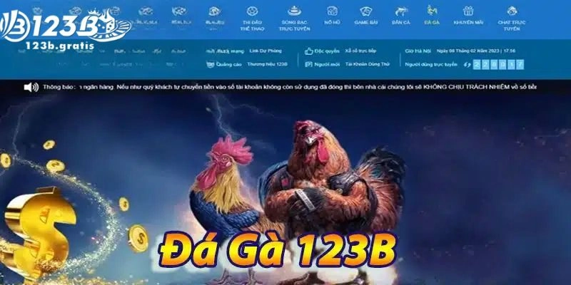 Đá gà 123b